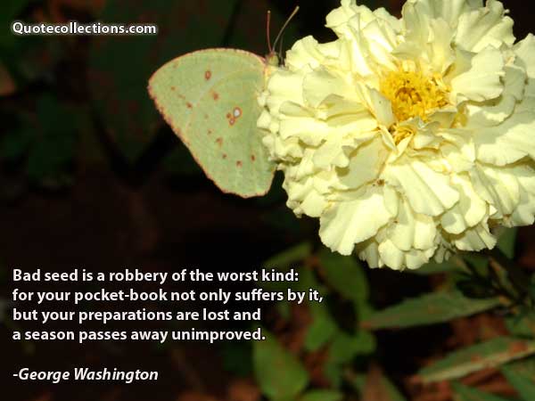 George Washington Quotes4